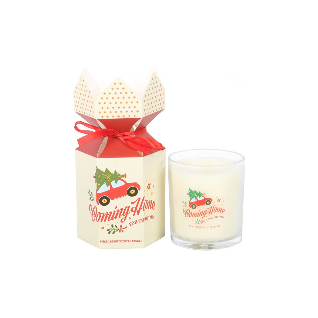 Coming Home for Christmas Spiced Berry Candle