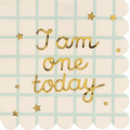 12 I Am One Today Teddy Bear Paper Napkins