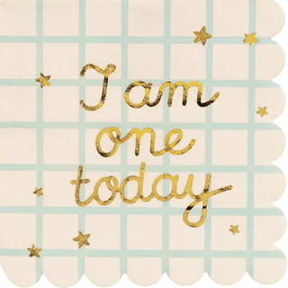 12 I Am One Today Teddy Bear Paper Napkins