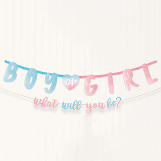 The Big Reveal Jumbo Paper Banner Kit