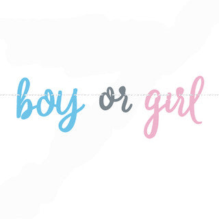 7ft Boy Or Girl Paper Banner