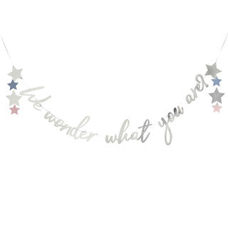 2m We Wonder What You Are Star Foil Banner