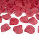 Red Rose Petal Confetti Cannon