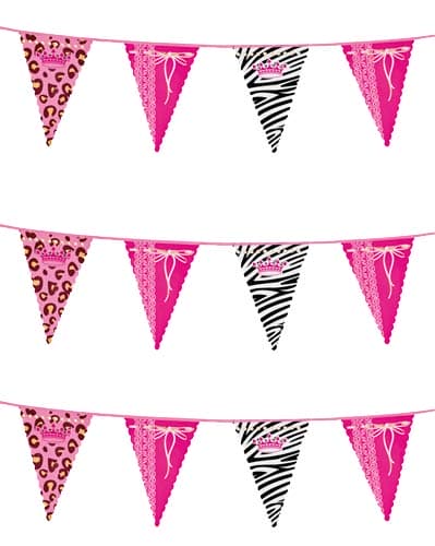 6m Princess Bunting