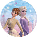 8 Frozen 2 Wind Spirit Paper Plates