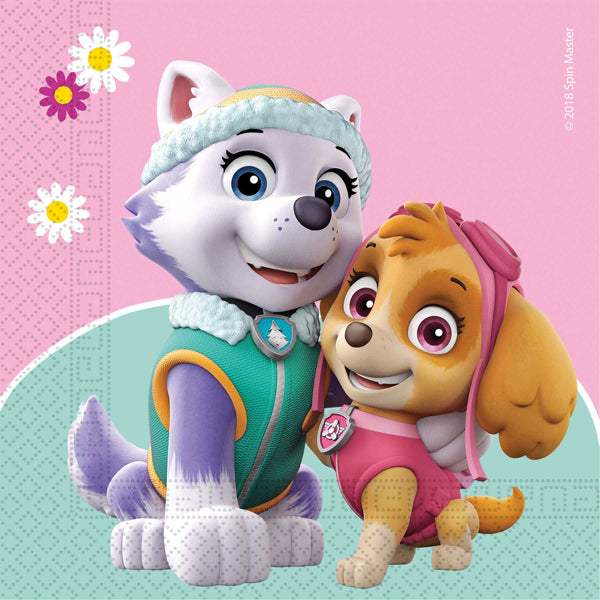 20 Paw Patrol Skye & Everest Party Paper Napkins