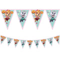 Paw Patrol Skye & Everest Party Triangle Flag Banner